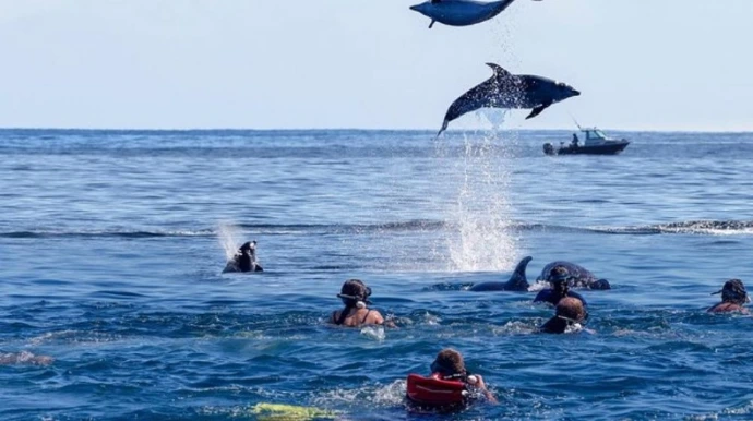 Snorkeling and marine adventures in Zanzibar waters
